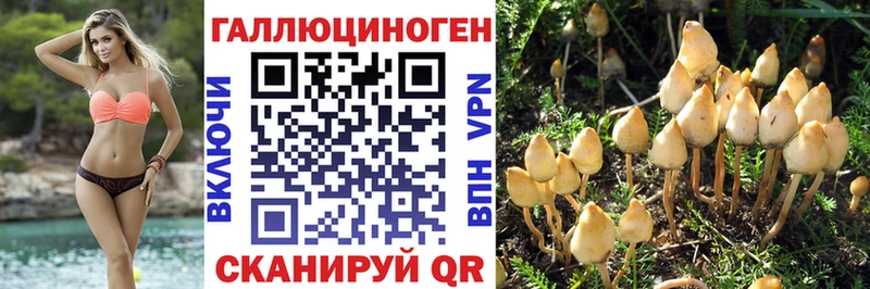 Галлюциногенные грибы GOLDEN TEACHER  Магадан 